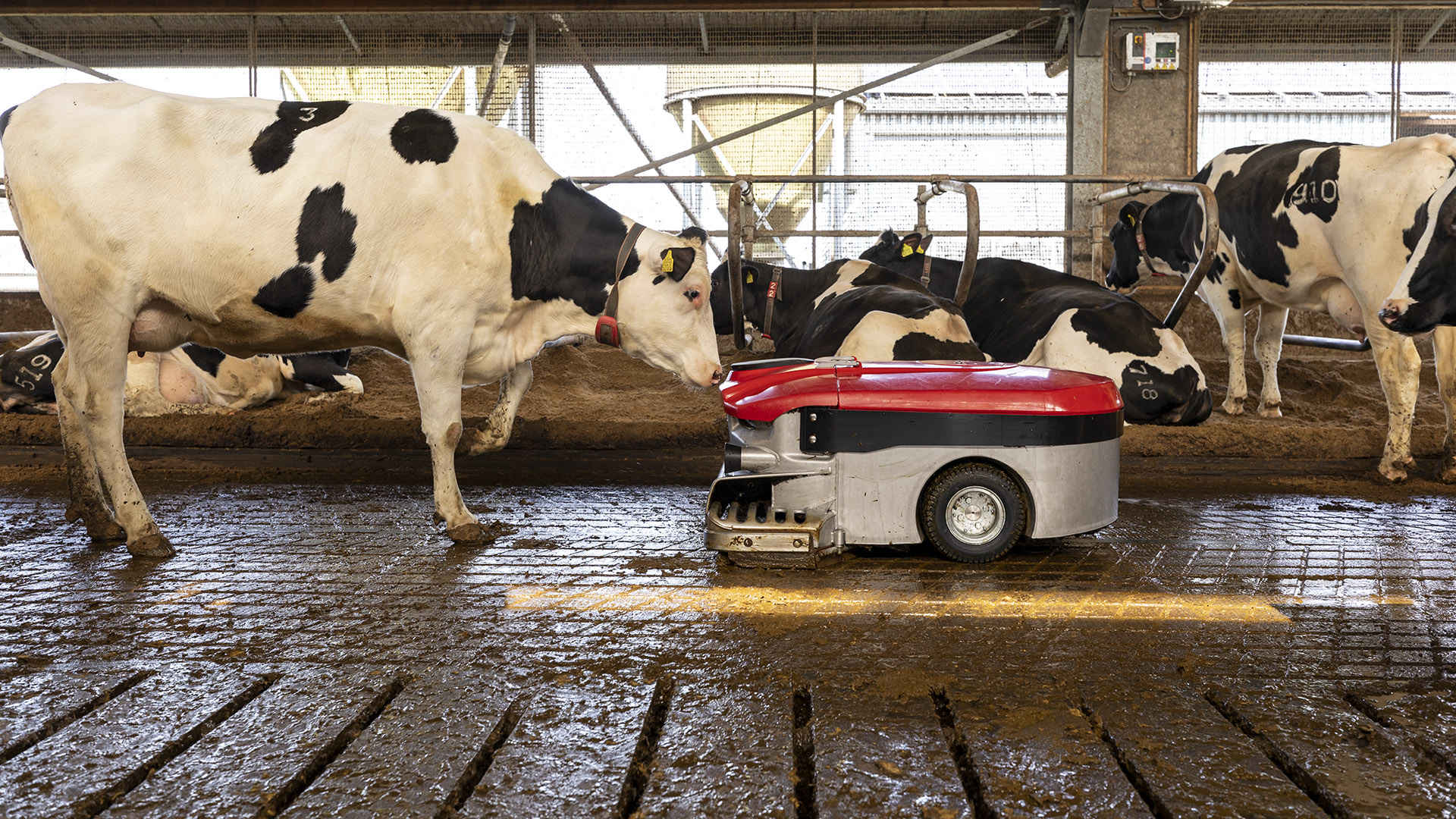 Lely Discovery skraberobot